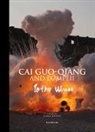 Cai Guo-Qiang, Jerome Neutres, Jerome Neutres - Cai Guo-Qiang And Pompeii