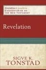 Bruce Longenecker, Mikeal Parsons, Charles Talbert, Sigve K Tonstad, Sigve K. Tonstad, Bruce Longenecker... - Revelation