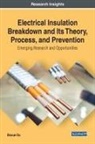 Boxue Du, Boxue (Tianjin University China) Du - Electrical Insulation Breakdown and Its Theory, Process, and Prevention