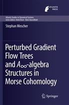 Stephan Mescher - Perturbed Gradient Flow Trees and A -algebra Structures in Morse Cohomology