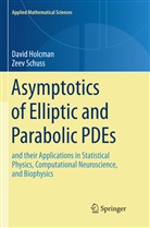 Davi Holcman, David Holcman, Zeev Schuss - Asymptotics of Elliptic and Parabolic PDEs