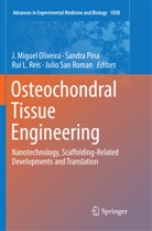 Rui L Reis et al, J. Miguel Oliveira, Sandr Pina, Sandra Pina, Rui L. Reis, Julio San Roman - Osteochondral Tissue Engineering