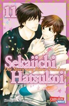 Shungiku Nakamura - Sekaiichi Hatsukoi 11