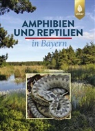 Eberhar Andrä, Eberhard Andrä, Ott Assmann, Otto Aßmann, Thomas Dürst, Thomas u a Dürst... - Amphibien und Reptilien in Bayern