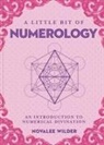 Novalee Wilder - Little Bit of Numerology, a