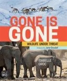 Isabelle Groc - Gone Is Gone