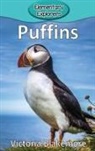 Victoria Blakemore - Puffins