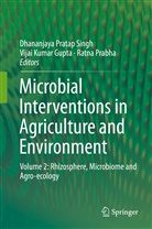 Vijai Kumar Gupta, Vija Kumar Gupta, Vijai Kumar Gupta, Ratna Prabha, Dhananjaya Pratap Singh - Microbial Interventions in Agriculture and Environment
