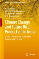 Krishna Redd Kakumanu, Krishna Reddy Kakumanu, Uda Nagothu, Udaya Sekhar Nagothu, Palanisami, K Palanisami... - Climate Change and Future Rice Production in India