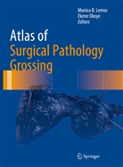 Monic B Lemos, Monica B Lemos, Monica B. Lemos, Okoye, Okoye, Ekene Okoye - Atlas of Surgical Pathology Grossing