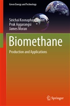 Pru Aggarangsi, Pruk Aggarangsi, Siricha Koonaphapdeelert, Sirichai Koonaphapdeelert, Moran, James Moran - Biomethane