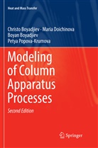 Bo Boyadjiev, Boyan Boyadjiev, Christ Boyadjiev, Christo Boyadjiev, Mari Doichinova, Maria Doichinova... - Modeling of Column Apparatus Processes