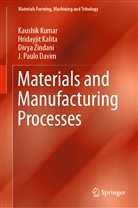 J. Paulo Davim, Hridayji Kalita, Hridayjit Kalita, Kaushi Kumar, Kaushik Kumar, Divya Zindani... - Materials and Manufacturing Processes