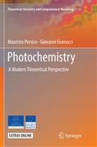 Giovanni Granucci, Maurizi Persico, Maurizio Persico - Photochemistry