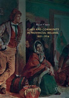 Brian Casey - Class and Community in Provincial Ireland, 1851-1914