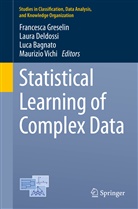 Luca Bagnato, Luca Bagnato et al, Laur Deldossi, Laura Deldossi, Francesca Greselin, Maurizio Vichi - Statistical Learning of Complex Data