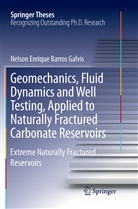 Nelson Enrique Barros Galvis - Geomechanics, Fluid Dynamics and Well Testing, Applied to Naturally Fractured Carbonate Reservoirs