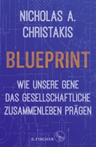 Nicholas Alexander Christakis - Blueprint