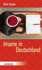 Rauf Ceylan - Imame in Deutschland
