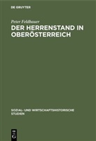 Peter Feldbauer - Der Herrenstand in Oberösterreich