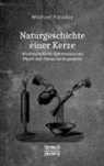 Michael Faraday - Naturgeschichte einer Kerze