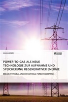Julia Luger - Power-to-Gas als neue Technologie zur Aufnahme und Speicherung regenerativer Energie. Bedarf, Potenzial und der aktuelle Forschungsstand