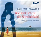 Paul Watzlawick, Bernt Hahn - Wie wirklich ist die Wirklichkeit? - Wahn, Täuschung, Verstehen, 4 Audio-CDs (Audio book)