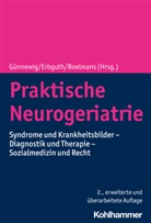 Kai Boelmans, Fran Erbguth, Frank Erbguth, Thomas Günnewig - Praktische Neurogeriatrie