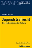 Werne Beulke, Werner Beulke, Friedric Schaffstein, Friedrich Schaffstein, Sab Swoboda, Sabine Swoboda - Jugendstrafrecht