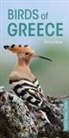 Rebecca Nason - Birds of Greece