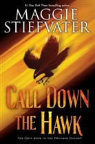 Maggie Stiefvater - Call Down the Hawk