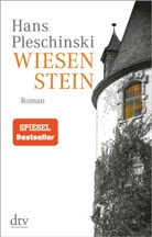 Hans Pleschinski - Wiesenstein