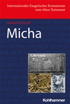 Burkard M Zapff, Burkard M. Zapff, Adele Berlin, Adele Berlin u a, Erhard Blum, David M. Carr... - Micha