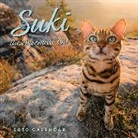 Martina Gutfreund, Martina/ Hildebrandt Gutfreund, Kenneth Hildebrandt - Suki the Adventure Cat 2020 Calendar
