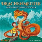 Tracey West, Tobias Diakow - Drachenmeister - Der Aufstieg des Erddrachen, 1 Audio-CD (Hörbuch)