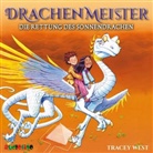 Tracey West, Tobias Diakow - Drachenmeister - Die Rettung des Sonnendrachen, 1 Audio-CD (Hörbuch)