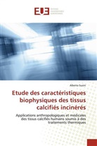 Alberto Susini - Etude des caractéristiques biophysiques des tissus calcifiés incinérés