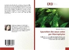 Maroua Ben Messaoud - Epuration des eaux usées par Macrophytes