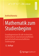 Arnfried Kemnitz - Mathematik zum Studienbeginn