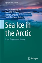 Leonid Bobylev, Leonid P Bobylev, Leonid P. Bobylev, Ola Johannessen, Ola M Johannessen, Ola M. Johannessen... - Sea Ice in the Arctic