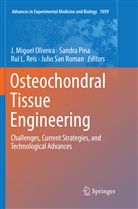 Rui L Reis et al, J. Miguel Oliveira, Sandr Pina, Sandra Pina, Rui L. Reis, Julio San Roman - Osteochondral Tissue Engineering