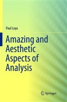 Paul Loya - Amazing and Aesthetic Aspects of Analysis