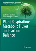 Ghashghaie, Ghashghaie, Jaleh Ghashghaie, Guillaum Tcherkez, Guillaume Tcherkez - Plant Respiration: Metabolic Fluxes and Carbon Balance