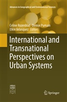 Denis Pumain, Denise Pumain, Celine Rozenblat, Elkin Velasquez - International and Transnational Perspectives on Urban Systems
