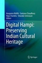 Vijay Chandru, Vijay Chandru et al, Santan Chaudhury, Santanu Chaudhury, Anupama Mallik, Sharada Srinivasan - Digital Hampi: Preserving Indian Cultural Heritage