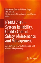 Tran Duc-Tan, Tran Duc-Tan et al, Vinit Kumar Gunjan, Amit Kumar, Sr Niwas Singh, Sri Niwas Singh... - ICRRM 2019 - System Reliability, Quality Control, Safety, Maintenance and Management