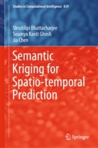 Shrutilip Bhattacharjee, Shrutilipi Bhattacharjee, Chen, Ing Jia Chen, Jia Chen, Soumya Kant Ghosh... - Semantic Kriging for Spatio-temporal Prediction