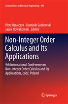 Jacek Nowakowski, Piotr Ostalczyk, Domini Sankowski, Dominik Sankowski - Non-Integer Order Calculus and its Applications