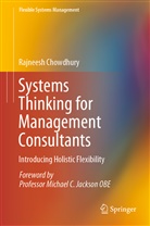 Rajneesh Chowdhury, Rajnees Chowdhury, Rajneesh Chowdhury - Systems Thinking for Management Consultants