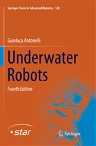 Gianluca Antonelli - Underwater Robots